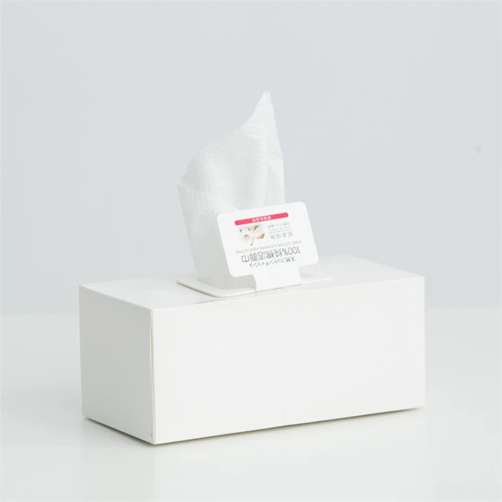 Nonwoven Wipe factory